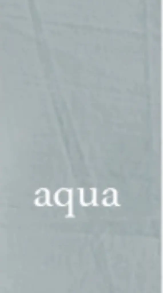 aqua color.webp