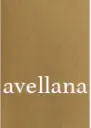 avellana color.webp