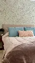 Pack Pastel 