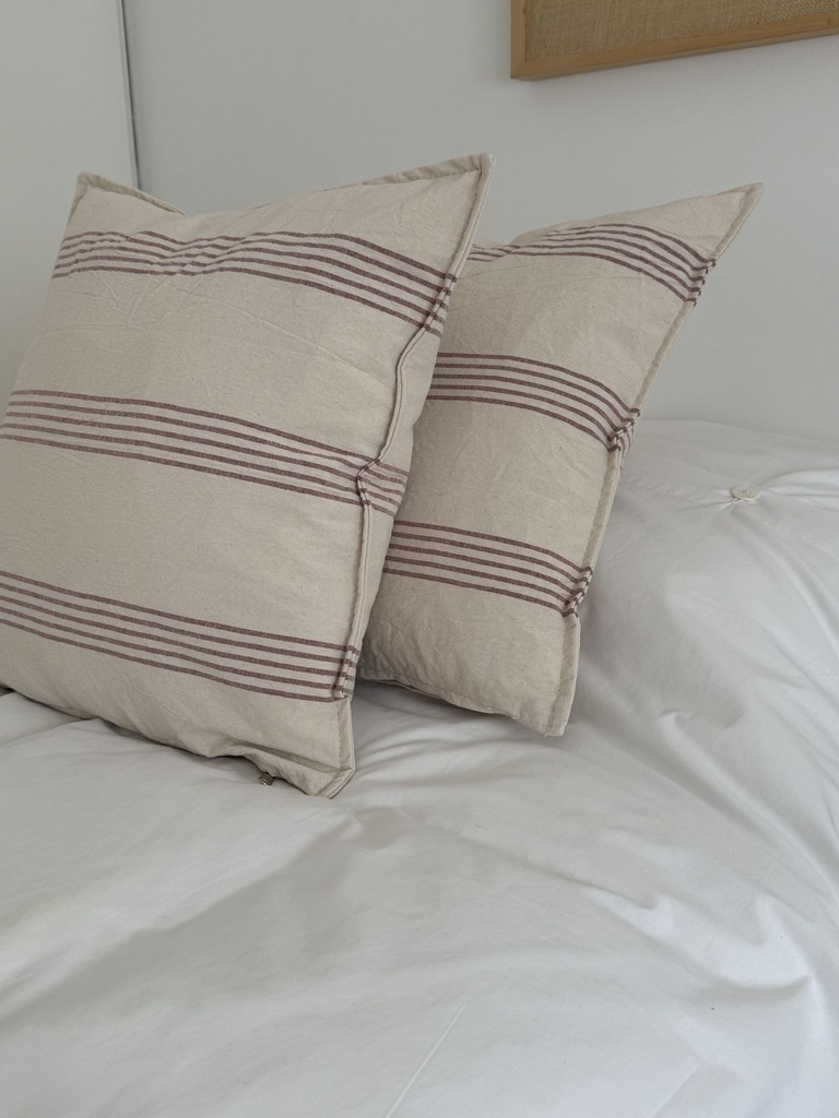 Almohadon Tierra Multi Raya