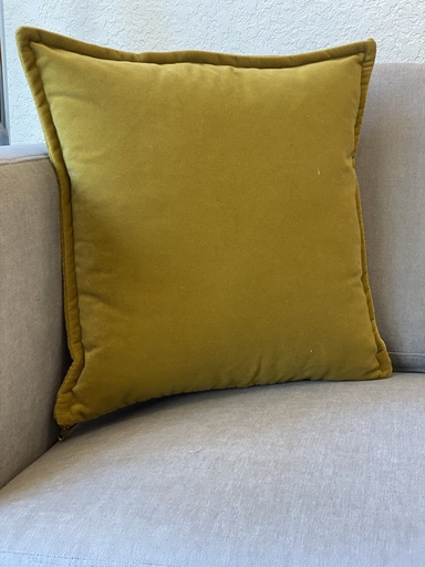 Almohadón Velvet