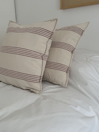 Almohadon Tierra Multi Raya